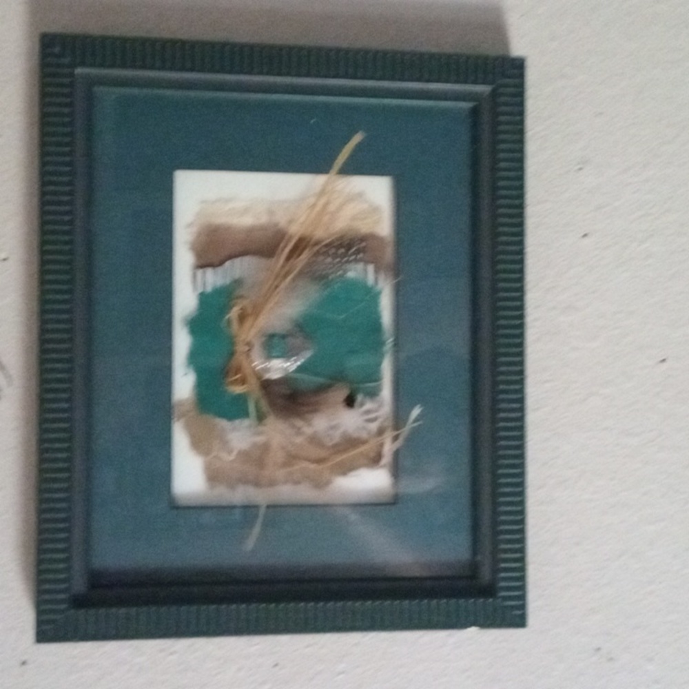 Joan Casey Unique Framed Feather/Heart Art